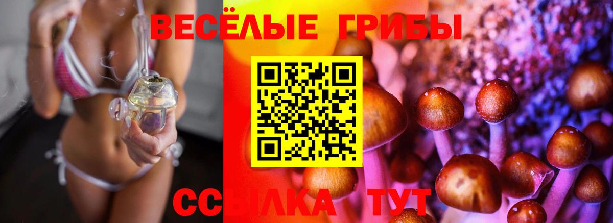 Екатеринбург  Галлюциногенные грибы Psilocybe  где купить наркотик  Вход с VPN  Галлюциногенные грибы Psilocybine cubensis 